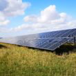 Solar panels on rewetted peatlands may boost biodiversity while generating clean energy, study finds