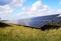 Solar panels on rewetted peatlands may boost biodiversity while generating clean energy, study finds