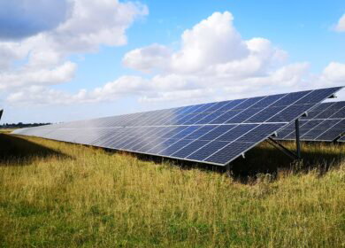 Solar panels on rewetted peatlands may boost biodiversity while generating clean energy, study finds