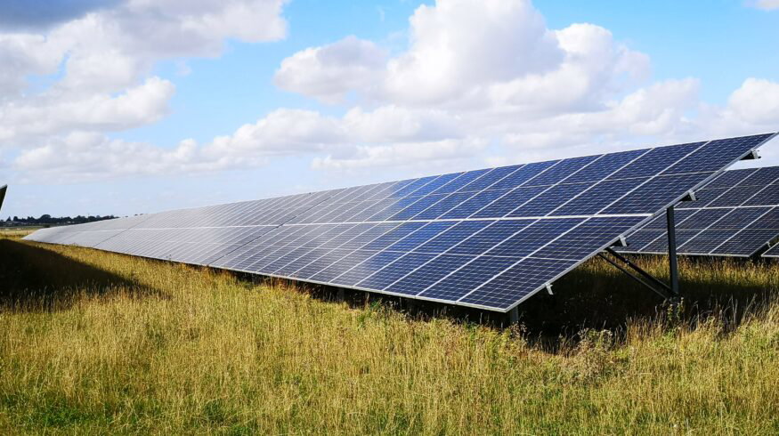 Solar panels on rewetted peatlands may boost biodiversity while generating clean energy, study finds