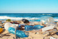 Sustainable alternatives struggle to challenge plastics despite growing push to cut ocean pollution
