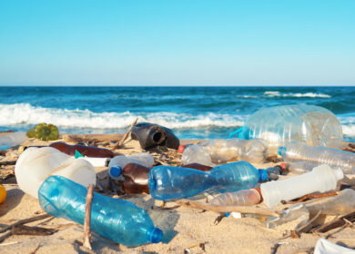 Sustainable alternatives struggle to challenge plastics despite growing push to cut ocean pollution