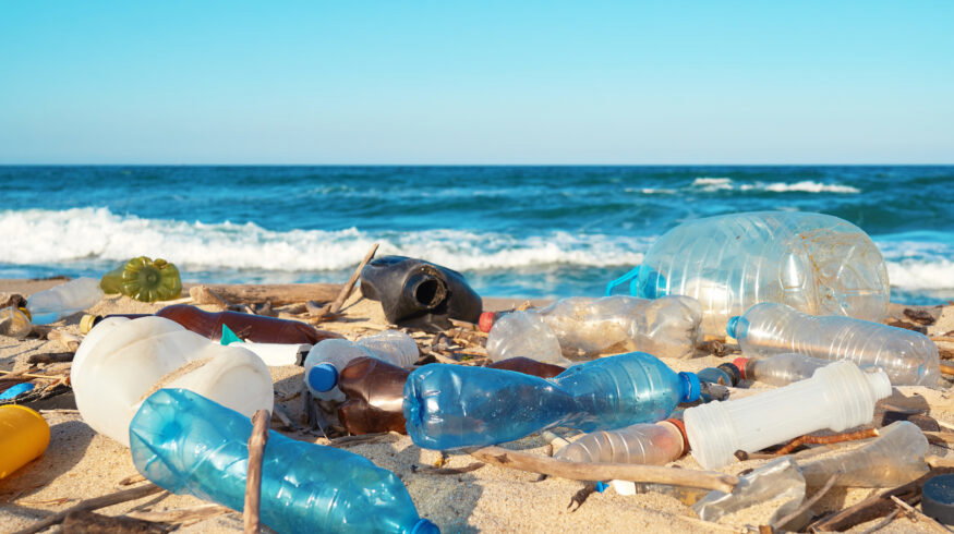 Sustainable alternatives struggle to challenge plastics despite growing push to cut ocean pollution