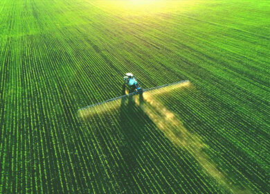 Siemens and Shomax partner to build off-grid green ammonia plant in Texas
