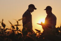 Farmers link industry consolidation to higher fertilizer and input costs, survey finds