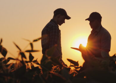 Farmers link industry consolidation to higher fertilizer and input costs, survey finds