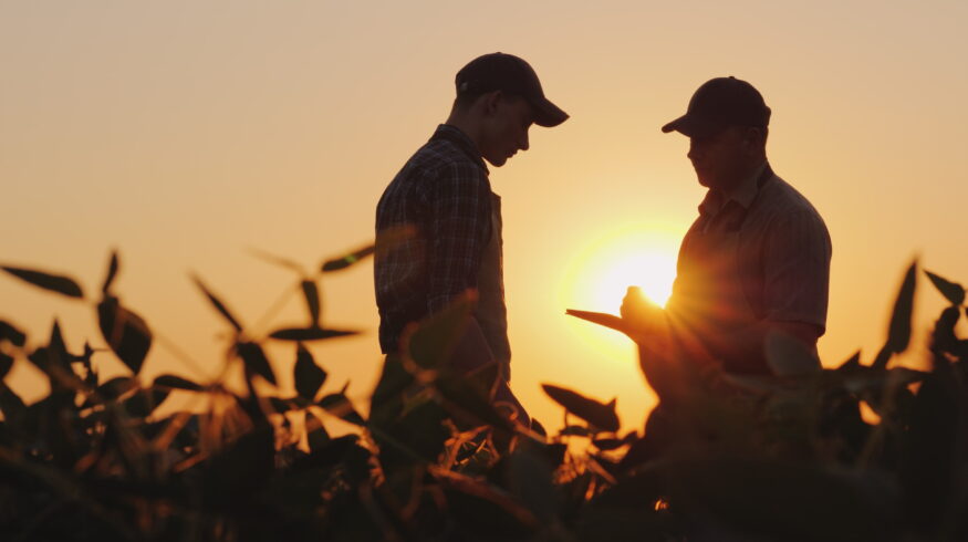 Farmers link industry consolidation to higher fertilizer and input costs, survey finds