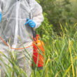 New fungicide chemistry targets 99% control as critical Mancozeb faces bans