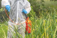 New fungicide chemistry targets 99% control as critical Mancozeb faces bans