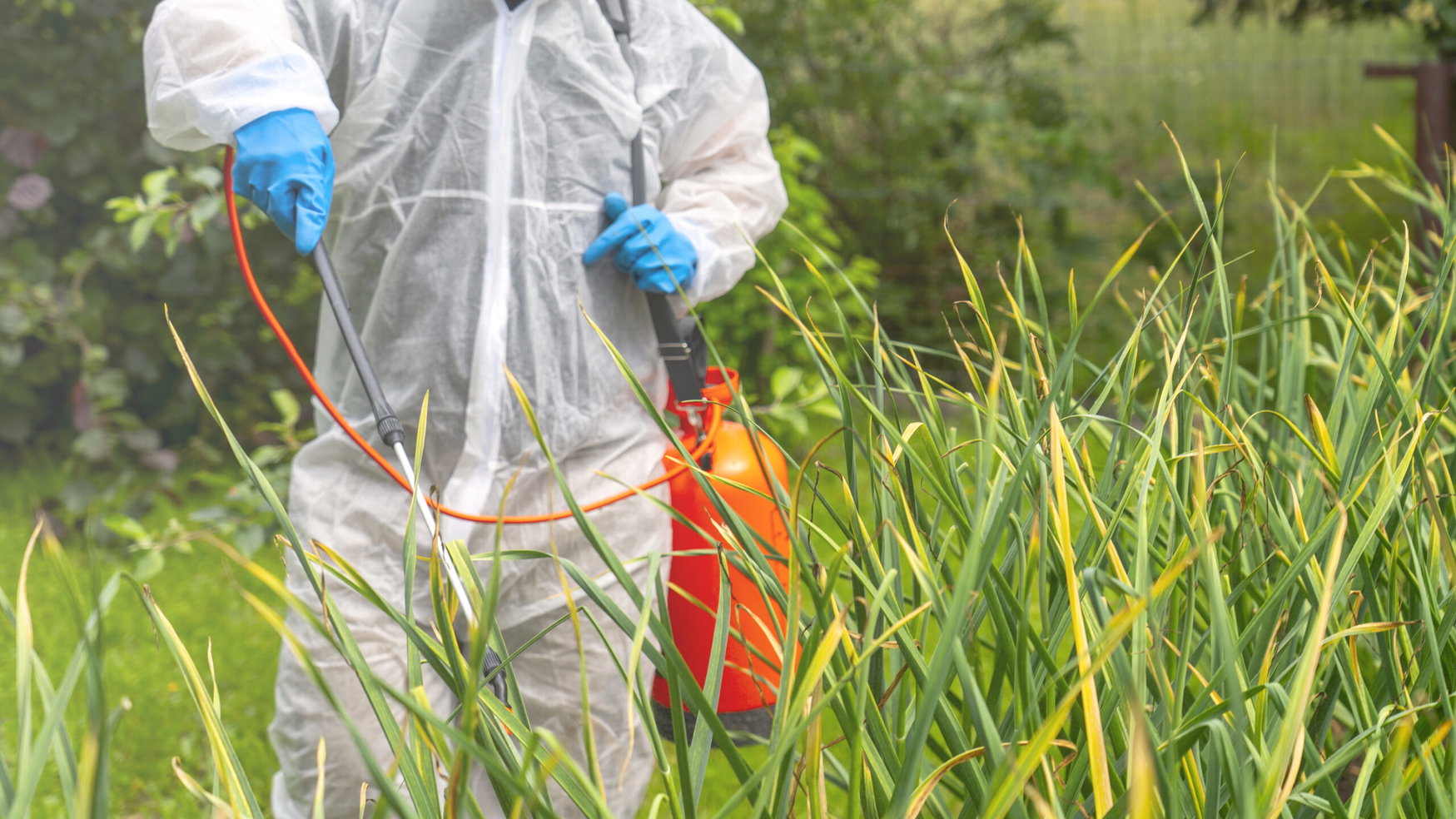 New fungicide chemistry targets 99% control as critical Mancozeb faces bans