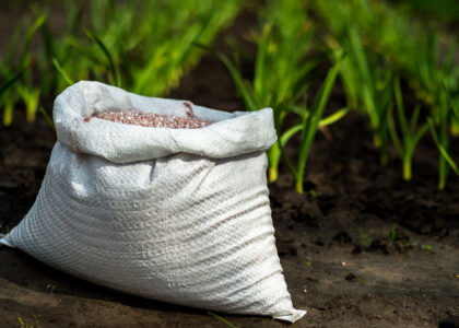 Fertilizer prices could climb 30% in 2026 as Hormuz risks bite