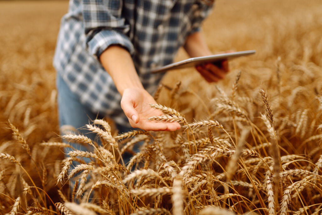 Nano-Yield technology increases the plant's nutrient absorption.