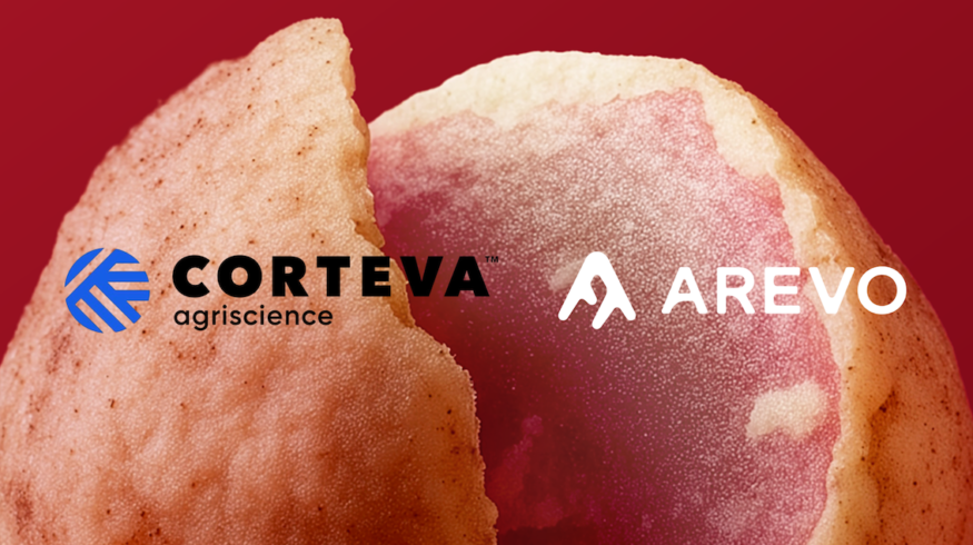 Corteva partners with Arevo to expand soybean seed nutrition offering in Europe