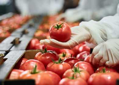 U.S. tomato prices hit a 45-year high affected by weather, trade policy and supply chain pressures