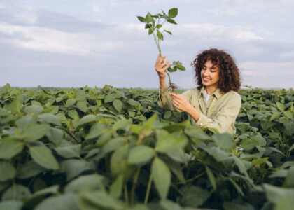 Soybean nitrogen fixation switch could cut fertilizer needs, Purdue study finds