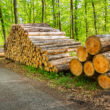 USDA backs Oregon and Nevada timber projects with $80 million in loan guarantees