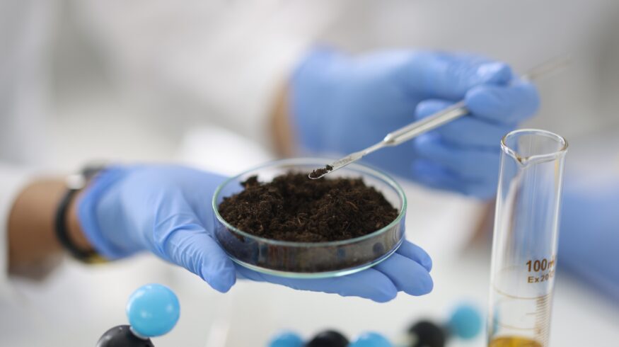 Stable soil carbon proves vulnerable in landmark 37-year warming trial