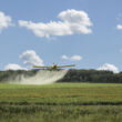 High prices push U.S. farmers toward phosphate cutbacks this fall