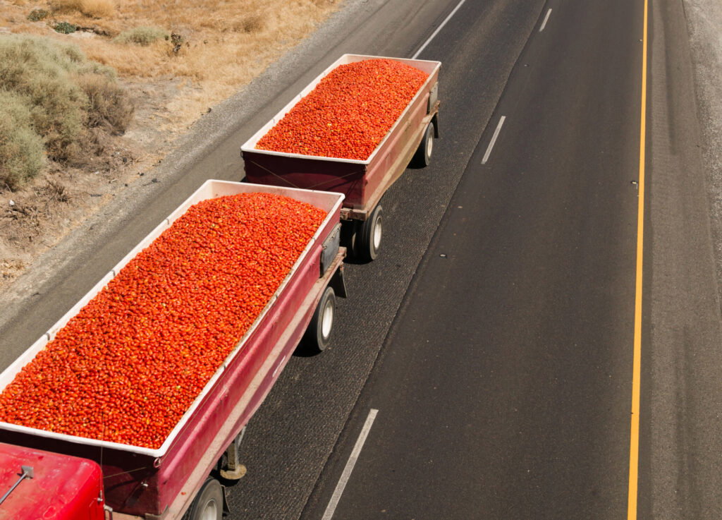 Tomato prices are highly affected by imports of fresh produce from Mexico on trucks down California Highways.
