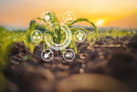 Smarter agriculture marketplaces, stronger farms: how digital platforms could help growers cut costs and build trust