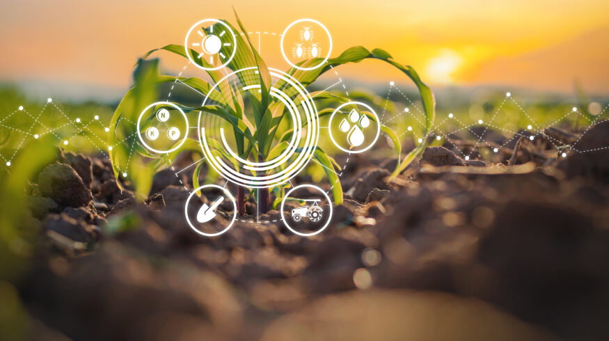 Smarter agriculture marketplaces, stronger farms: how digital platforms could help growers cut costs and build trust