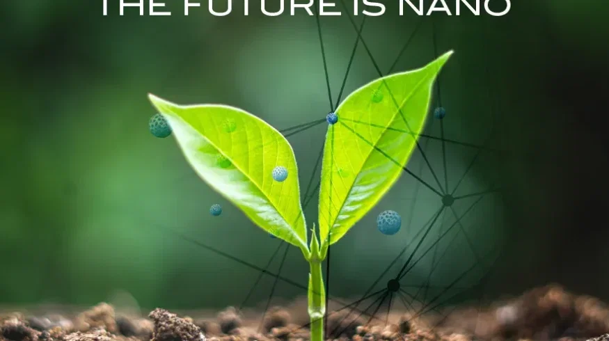How Nano-Yield is using nanotechnology to help farmers get more from every pound of fertilizer