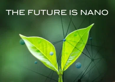 How Nano-Yield is using nanotechnology to help farmers get more from every pound of fertilizer