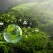 Green ammonia Chile project seeks approval for $4.7 billion export-oriented plant
