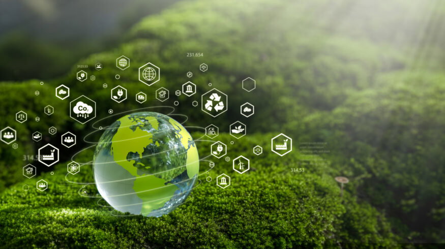 Green ammonia Chile project seeks approval for $4.7 billion export-oriented plant