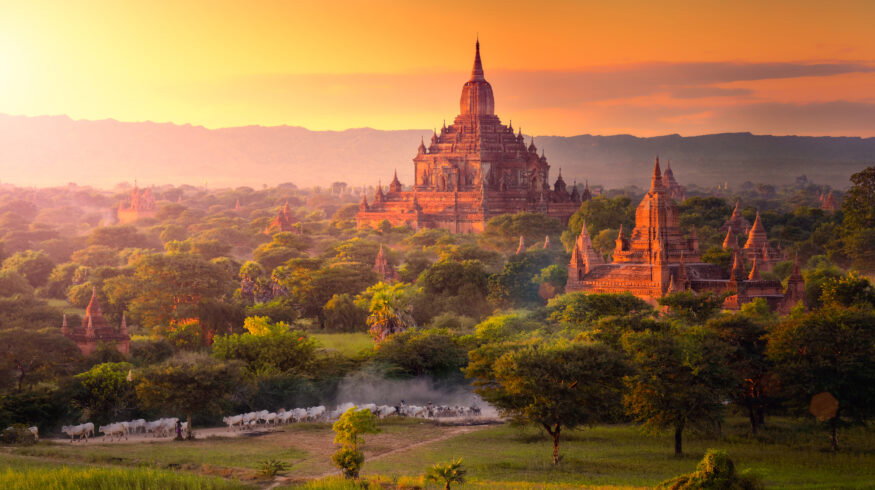 Myanmar raises farm loan limits and cuts interest rates as fertilizer costs climb