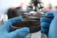 Excess fertilizer quietly undermines the soil microbes that crops depend on