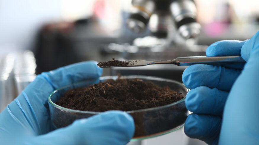 Excess fertilizer quietly undermines the soil microbes that crops depend on