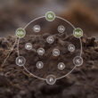 New soil phosphorus measurement reveals a hidden nutrient pool across 32 soils