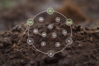 New soil phosphorus measurement reveals a hidden nutrient pool across 32 soils