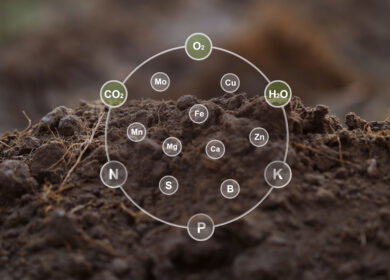 New soil phosphorus measurement reveals a hidden nutrient pool across 32 soils