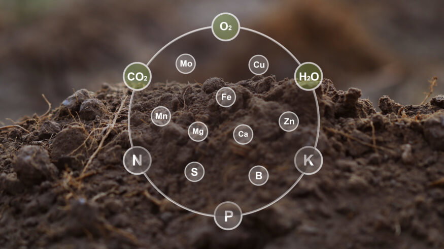 New soil phosphorus measurement reveals a hidden nutrient pool across 32 soils