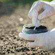Biochar and bacteria raise plant-accessible potassium in acidic soil