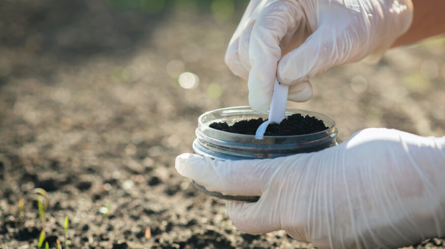 Biochar and bacteria raise plant-accessible potassium in acidic soil