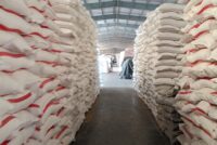 India’s phosphoric acid price rises 25% as higher sulfur costs impact the phosphate market