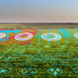 Farm AI adoption stalls as survey reveals 52% see no benefit