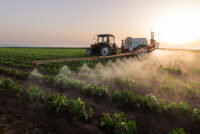 US retail urea falls 12% to $731/t in third week of June — first broad price retreat since February