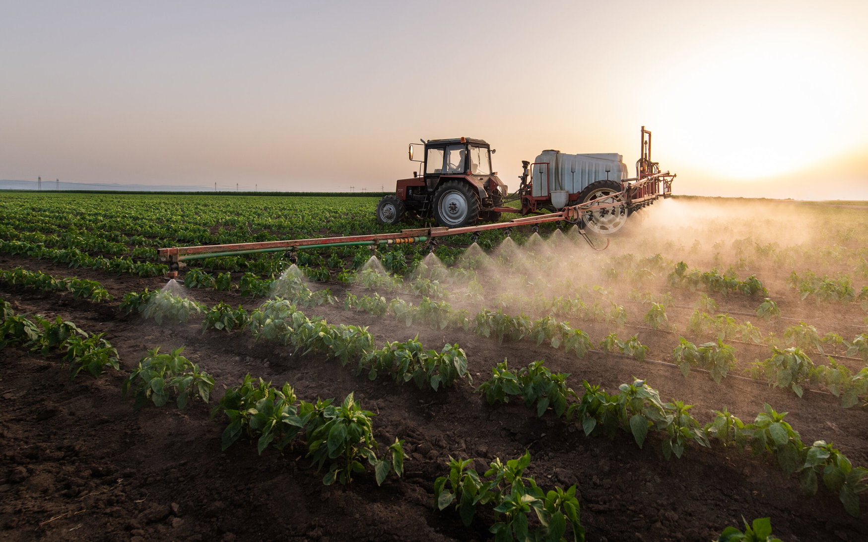 US retail urea falls 12% to $731/t in third week of June — first broad price retreat since February