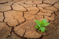 Uralchem urges balanced fertilizer use to combat land degradation at UN desertification conference