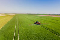 Fall 2026 fertilizer prices run 7–24% above last year as harvest season approaches