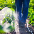 EU pesticide residue proposal could cut agricultural imports by 41%, JRC study finds
