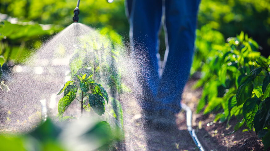 EU pesticide residue proposal could cut agricultural imports by 41%, JRC study finds