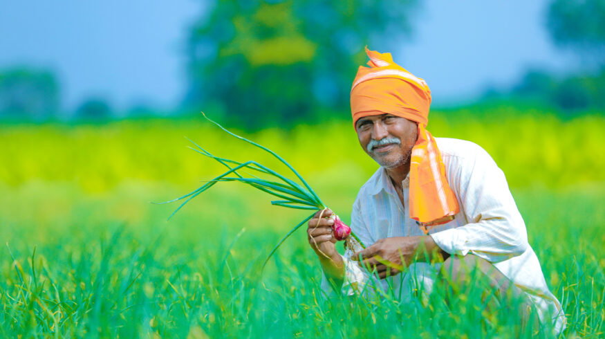 India’s RCF awards 1.78 million metric tons of urea to 8 suppliers in August tender