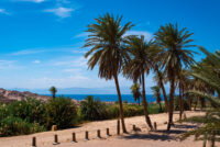 NEOM green hydrogen complex finishes $8.4 billion construction, targets 2027 ammonia exports