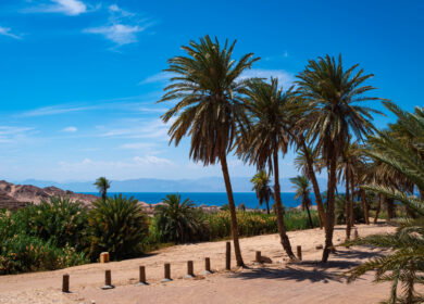 NEOM green hydrogen complex finishes $8.4 billion construction, targets 2027 ammonia exports