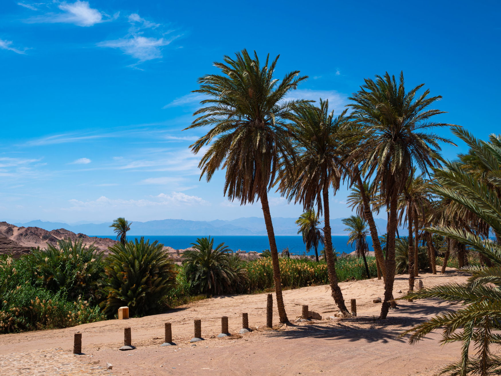 NEOM green hydrogen complex finishes $8.4 billion construction, targets 2027 ammonia exports